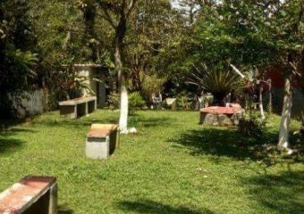 CLÍNICA PARA DROGADOS EM SP