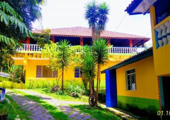 Novidades da Semana Clínicas de Recuperação Drogas NOVAS