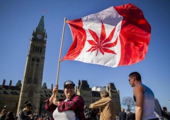 Deputados do Canadá aprovaram a legalização da maconha