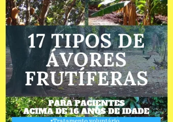 Clínica de recuperação masculina em Goiânia GO – Goiás