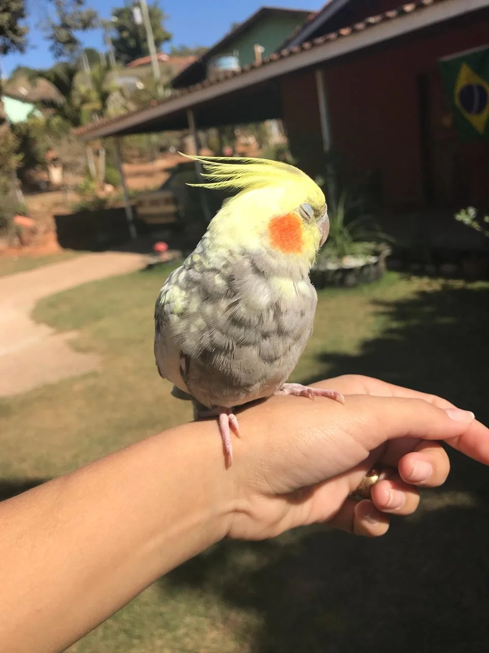 clínica de recuperação em São Paulo