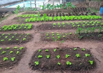 Clínica de recuperação de baixo custo em São Paulo