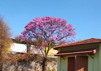 Clinica para alcoólatras em Hortolândia SP – 09