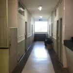 Internação de dependentes químicos