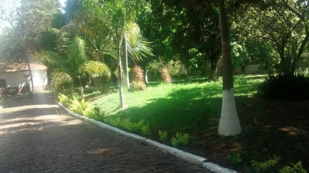 Internação de dependentes químicos