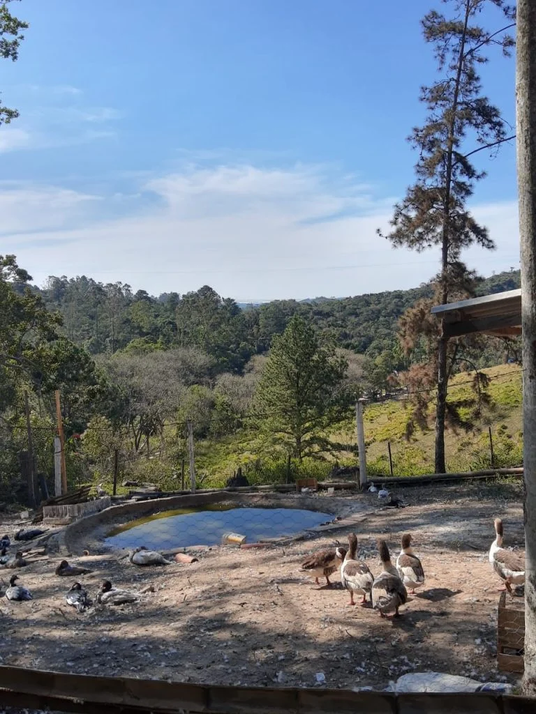 Clínica de recuperação SP - Menores - Itapecerica da Serra