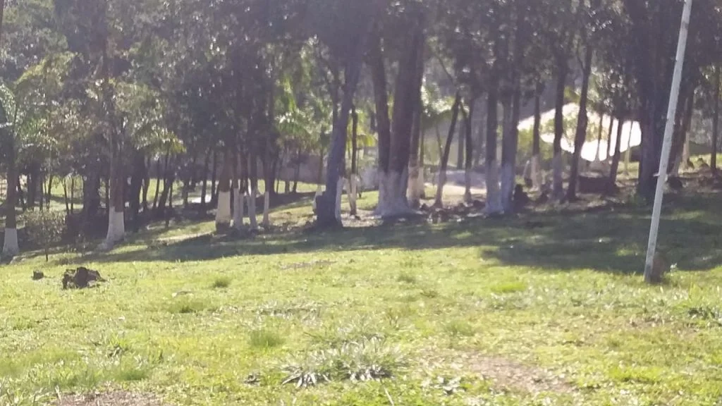 Clinica de recuperação para menores em Embu