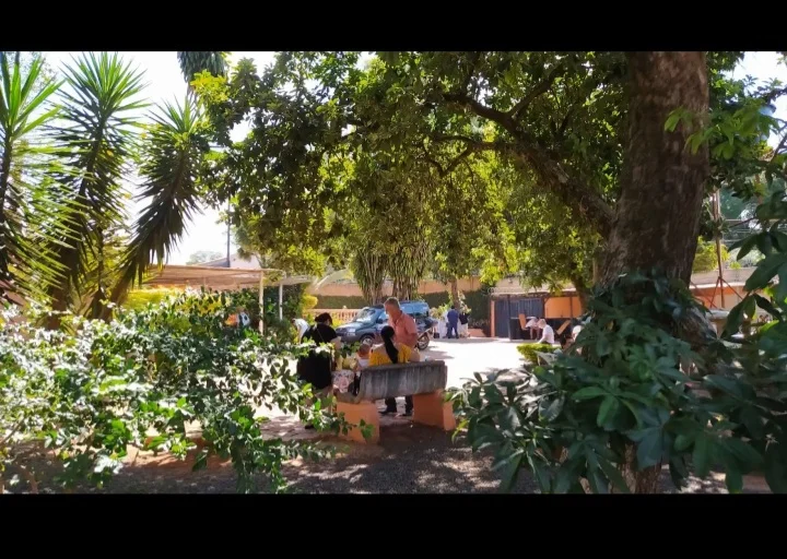 Clínicas de reabilitação em São Paulo - Masculinas - Araraquara 2