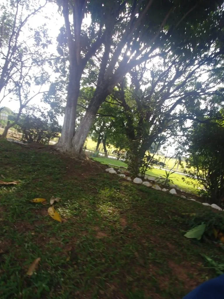 Clínica de reabilitação em São Paulo - Araçoiaba da Serra - Médio padrão