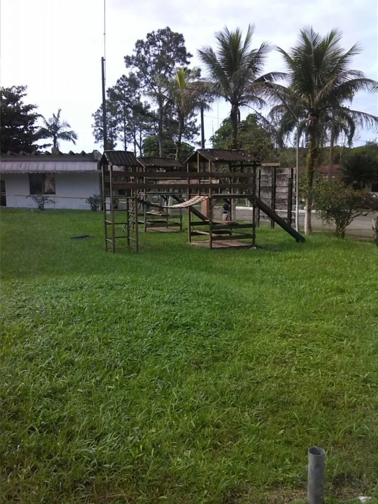 Tratamento álcool e drogas