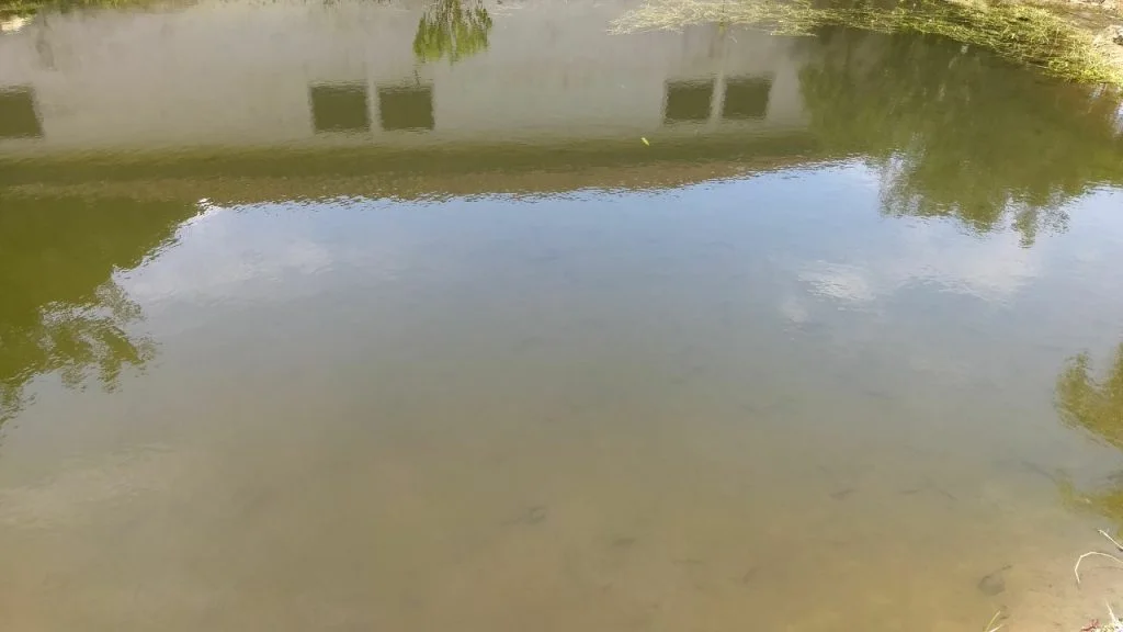 Clinica de recuperação em São Paulo - Itanhaém 3