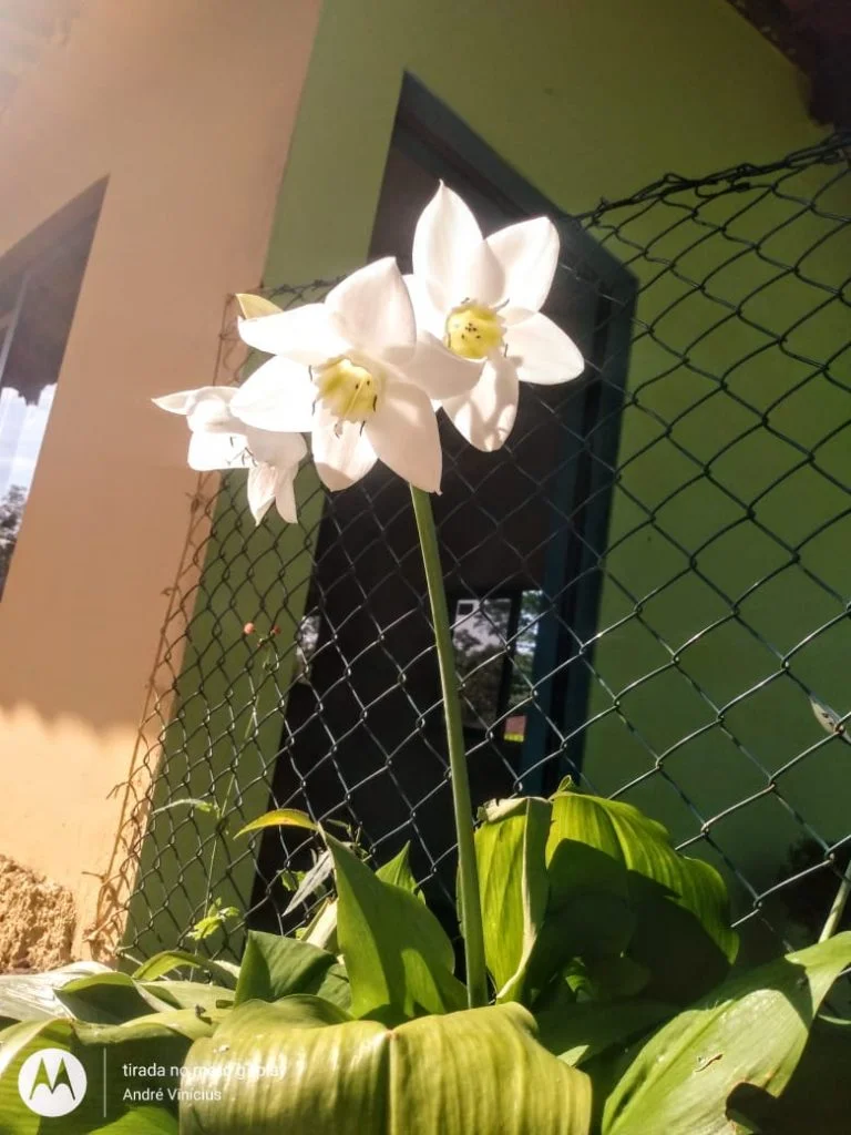 Clinica de reabilitação para dependentes químicos e alcoólatras em SP