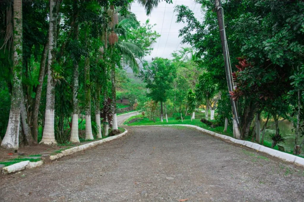 Clinica de recuperação para dependentes químicos e alcoólatras em SP