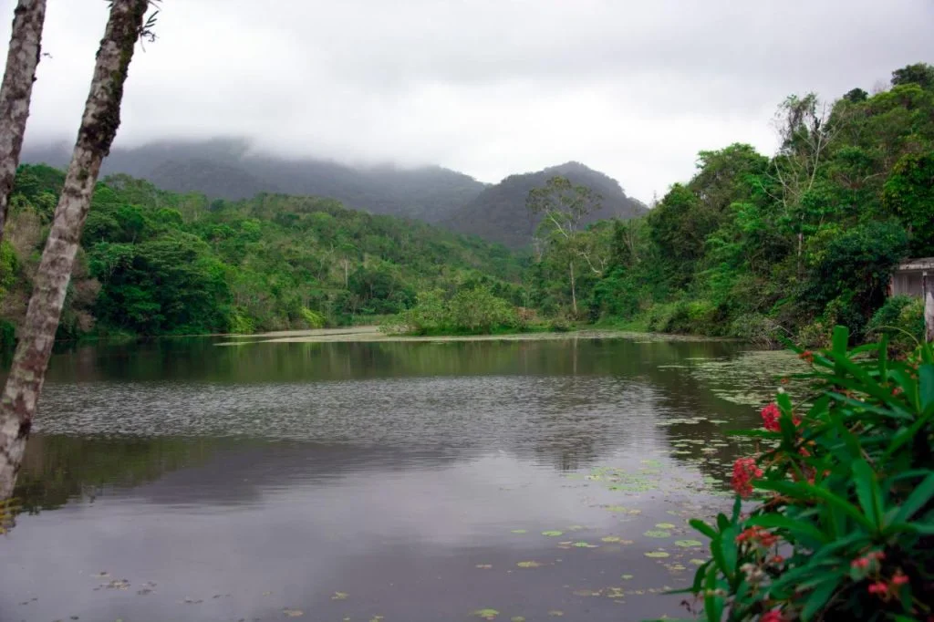 Clinica de recuperação para dependentes químicos e alcoólatras em SP