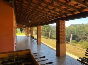 Tratamento do alcoolismo em SP