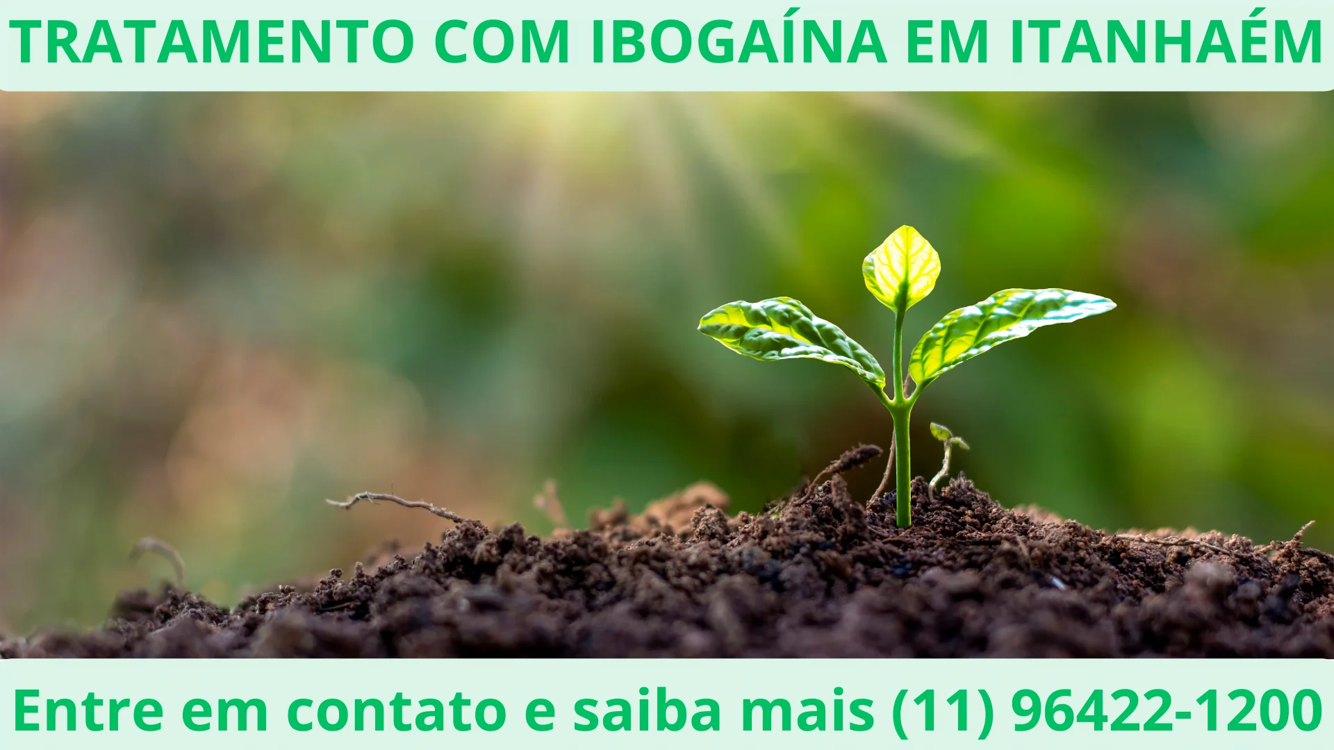 Tratamento alternativo para dependência química