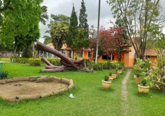 Clínica para dependentes químicos em São Paulo