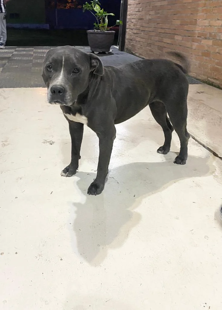 Clínica de reabilitação Masculina em Itanhaém - SP - Imagem 17