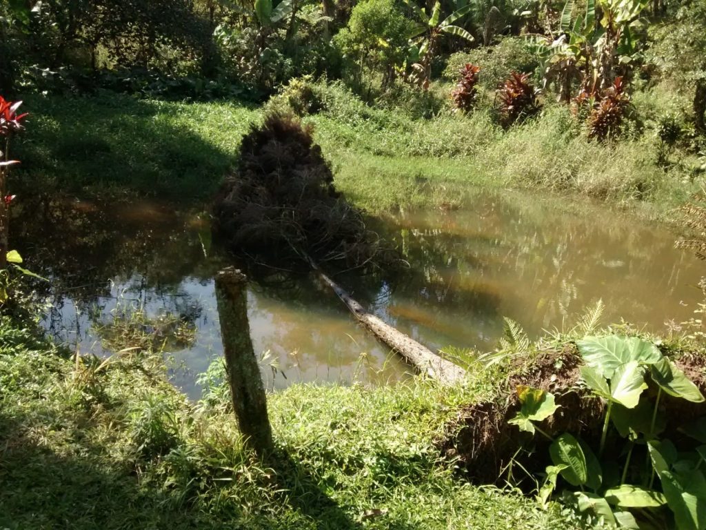 Clínica de dependentes químicos em SP - Rio Grande da Serra