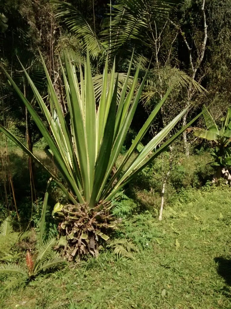 Clínica de dependentes químicos em SP - Rio Grande da Serra