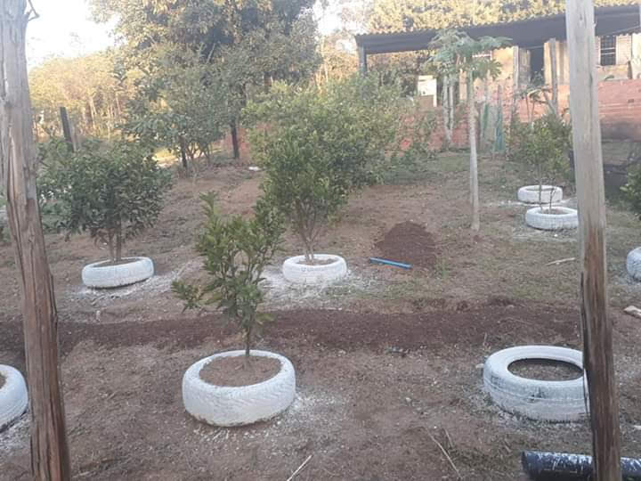 Clínica de reabilitação feminina SP