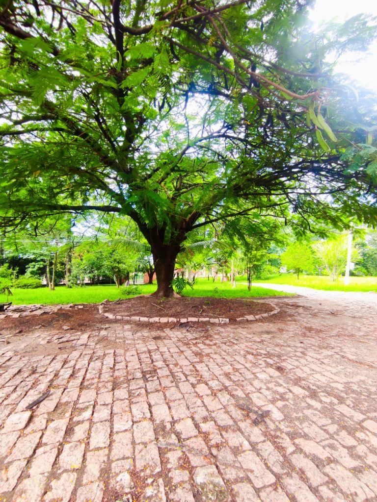 Clínica para dependentes químicos em SP - Piracicaba