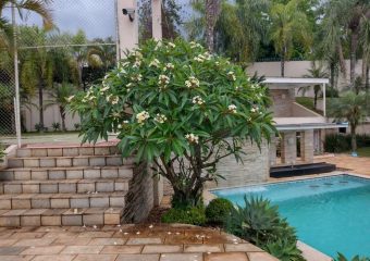 Clínica de recuperação em Londrina – PR