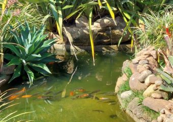 Revista Digital Para Dependentes Químicos – 2° Edição – 11/10/2024