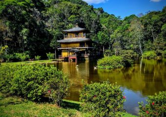 clínica de reabilitação clínica de recuperação clínica de recuperação em itapecerica clínica de reabilitação em itapecerica clínica para drogados clínica para drogados em itapecerica clínica para alcoolatras em itapecerica clínica para alcoolatra em itapecerica clínica de reabilitação em itapecerica