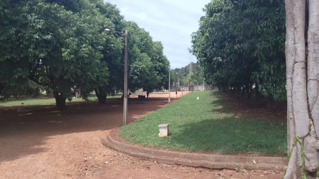 Tratamento de dependentes químicos em SP
