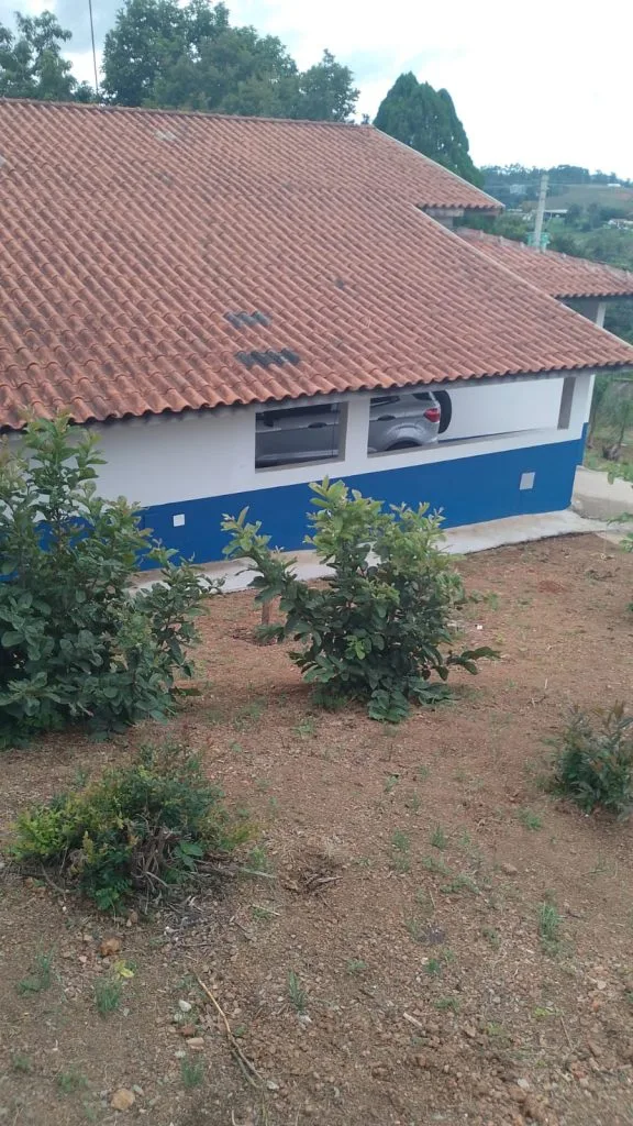 Internação de dependentes químicos em SP