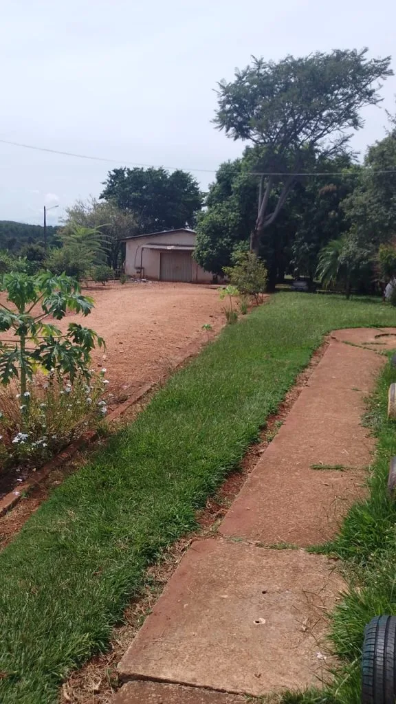 Tratamento do alcoolismo em SP