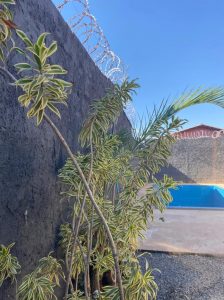 Clínica de Recuperação de Alto Padrão: Excelência no Tratamento em São Paulo