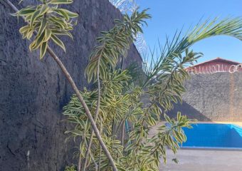 Clínica de Recuperação de Alto Padrão: Excelência no Tratamento em São Paulo