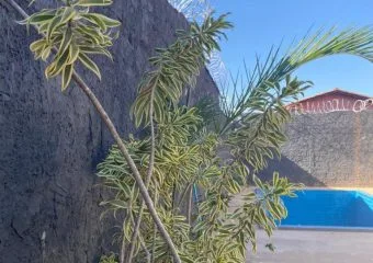 Clínica de Recuperação de Alto Padrão: Excelência no Tratamento em São Paulo