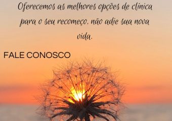 Encontrando o Caminho para a Recuperação: A Capital Remoções está ao seu Lado