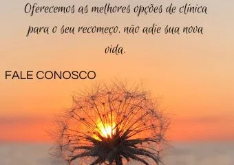 Encontrando o Caminho para a Recuperação: A Capital Remoções está ao seu Lado