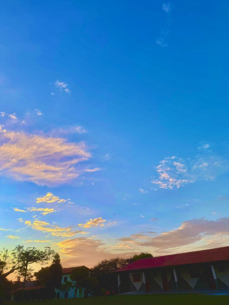 clínica de recuperação feminina em SP