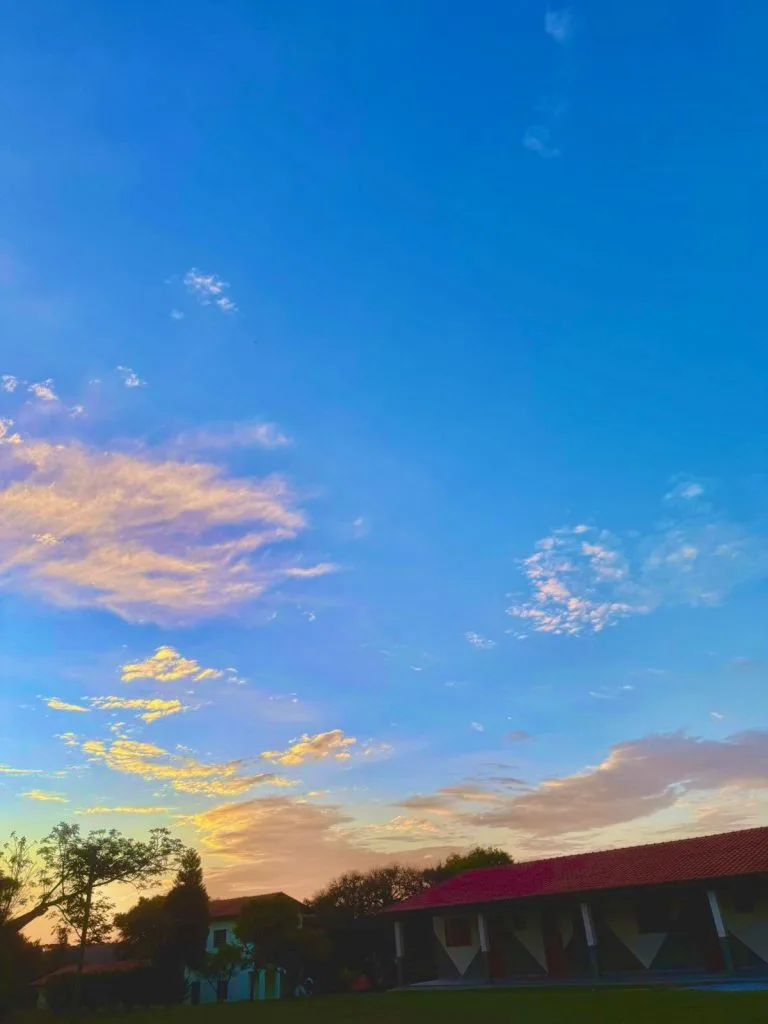 clínica de recuperação feminina em SP