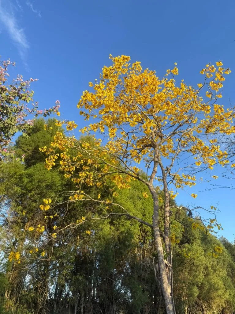 Clínica de reabilitação em São Paulo