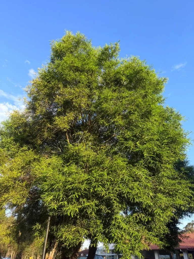 Clínica de recuperação em SP