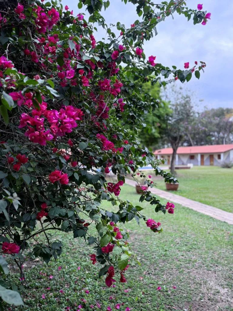 Clínica de Reabilitação Feminina em SP – Ibiúna