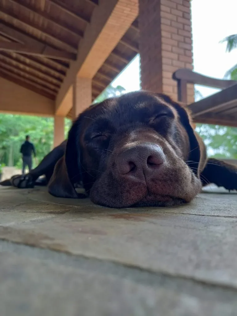 CLINICA DE RECUPERAÇÃO